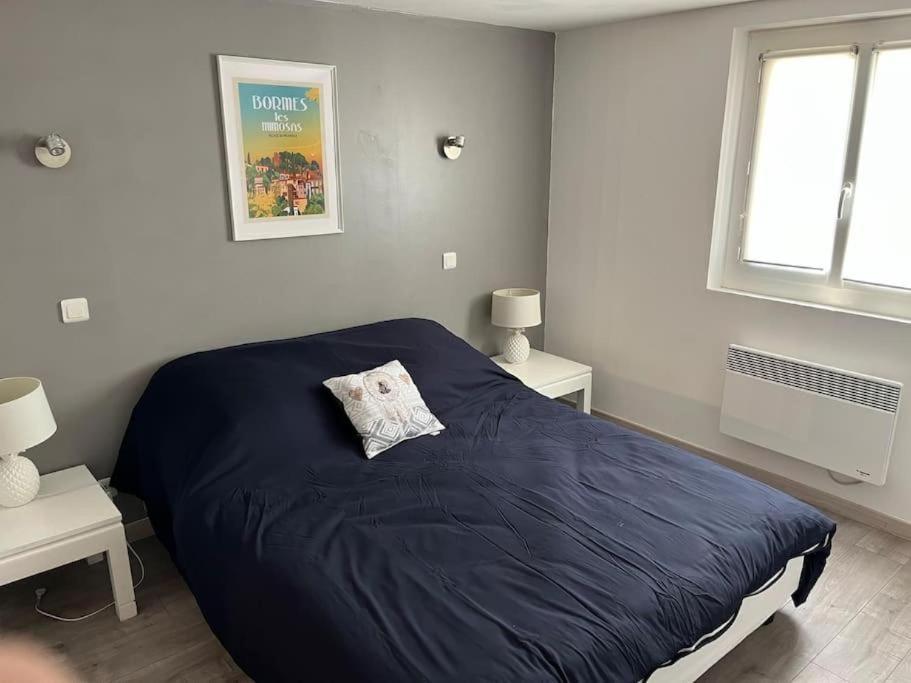Bas De Villa 70M2 Independant Avec Espace Jacuzzi Prive Le Lavandou Exteriör bild